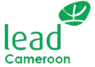 Lead Cameroon